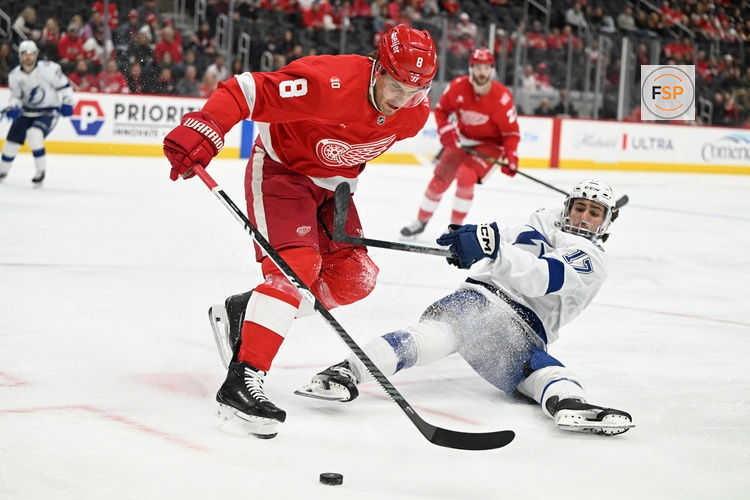 Nov 28, 2025; Detroit, Michigan, USA;  Detroit Red Wings defenseman Ben Chiarot (8) and Tampa Bay Lightning center Dominic James (17) battle for the puck in the first period at Little Caesars Arena. Credit: Lon Horwedel-Imagn Images