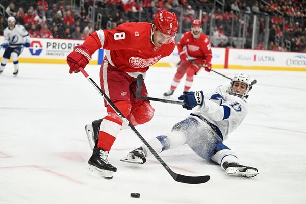 Nov 28, 2025; Detroit, Michigan, USA;  Detroit Red Wings defenseman Ben Chiarot (8) and Tampa Bay Lightning center Dominic James (17) battle for the puck in the first period at Little Caesars Arena. Mandatory Credit: Lon Horwedel-Imagn Images