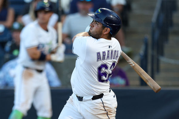 Apr 19, 2025; Tampa, Florida, USA; Tampa Bay Rays first baseman Jonathan Aranda (62) hits a two run walk off home run against the New York Yankees in the tenth inning  at George M. Steinbrenner Field. Mandatory Credit: Nathan Ray Seebeck-Imagn Images