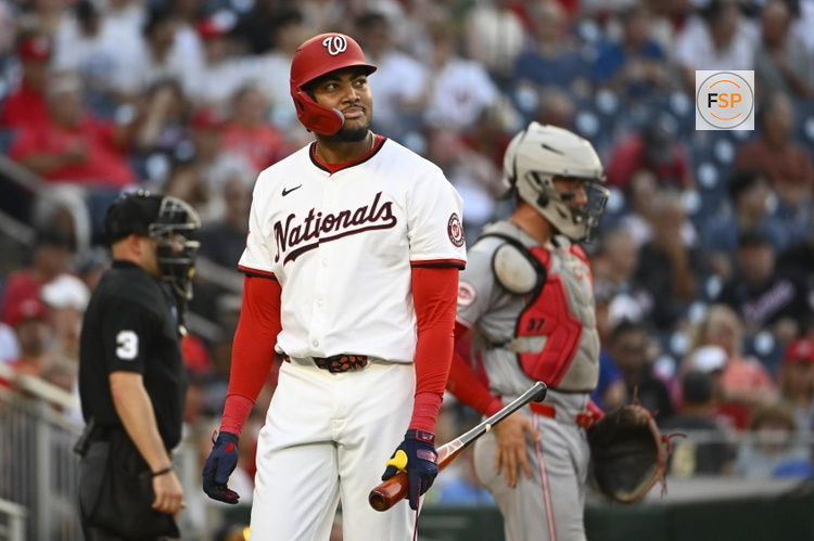 Jul 22, 2025; Washington, District of Columbia, USA; Washington Nationals left fielder James Wood (29) reacts after striking out against the Cincinnati Reds during the fourth inning at Nationals Park. Credit: Brad Mills-Imagn Images