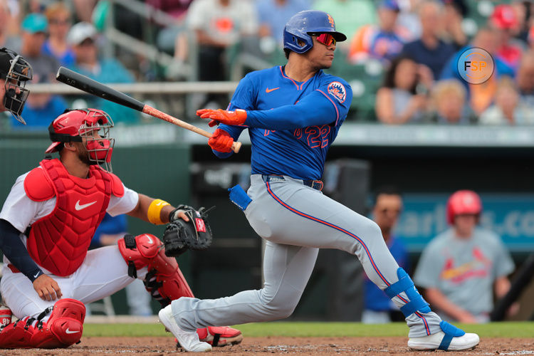 Feb 24, 2025; Jupiter, Florida, USA; New York Mets right fielder Juan Soto (22) hits a single against the St. Louis Cardinals during the third inning at Roger Dean Chevrolet Stadium. Credit: Sam Navarro-Imagn Images