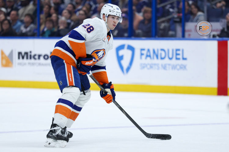 Feb 1, 2025; Tampa, Florida, USA; New York Islanders defenseman Alexander Romanov (28) looks to pass the puck against the Tampa Bay Lightning in the first period at Amalie Arena. Credit: Nathan Ray Seebeck-Imagn Images