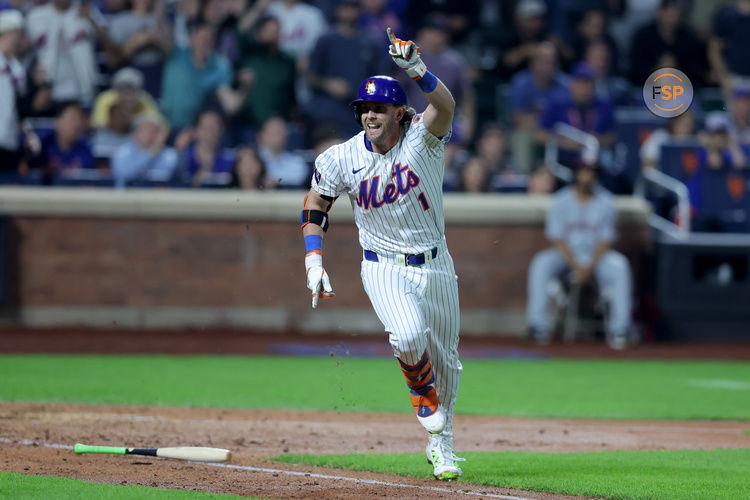 Jun 10, 2025; New York City, New York, USA; New York Mets second baseman Jeff McNeil (1) reacts to his tenth inning walkoff hit against the Washington Nationals at Citi Field. Credit: Brad Penner-Imagn Images