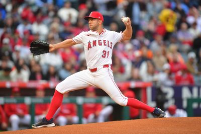 Apr 18, 2025; Anaheim, California, USA; Los Angeles Angels pitcher Tyler Anderson (31) throws against the San Francisco Giants during the first inning at Angel Stadium. Mandatory Credit: Gary A. Vasquez-Imagn Images