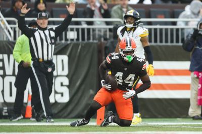 Dec 28, 2025; Cleveland, Ohio, USA; Cleveland Browns tight end Harold Fannin Jr. (44) catches the ball for a touchdown in the first quarter against the Pittsburgh Steelers at Huntington Bank Field. Mandatory Credit: Scott Galvin-Imagn Images