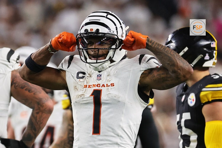 Oct 16, 2025; Cincinnati, Ohio, USA; Cincinnati Bengals wide receiver Ja'Marr Chase (1) reacts after making a first down against the Pittsburgh Steelers during the third quarter at Paycor Stadium. Credit: Joseph Maiorana-Imagn Images