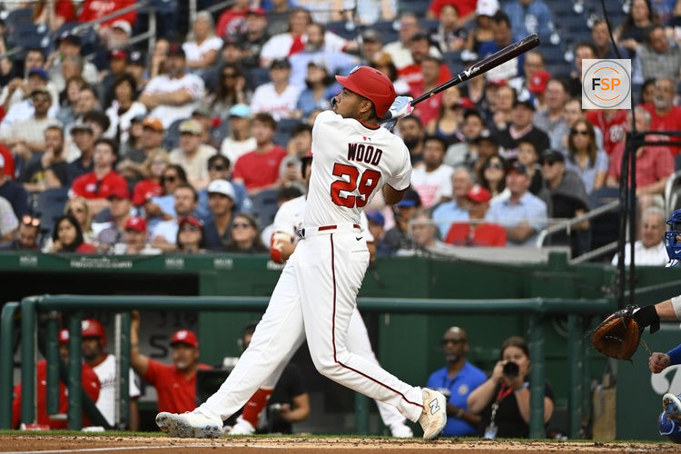 Jun 3, 2025; Washington, District of Columbia, USA; Washington Nationals left fielder James Wood (29) hits a RBI sacrifice fly against the Chicago Cubs during the third inning at Nationals Park. Credit: Brad Mills-Imagn Images