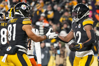 Jan 4, 2025; Pittsburgh, Pennsylvania, USA; Pittsburgh Steelers running back Najee Harris (22) celebrates after a touchdown carry against the Cincinnati Bengals in the second quarter at Acrisure Stadium. Mandatory Credit: Sam Greene/USA TODAY Network via Imagn Images