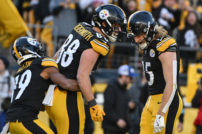 Dec 8, 2024; Pittsburgh, Pennsylvania, USA; Pittsburgh Steelers tight end Pat Freiermuth (88) celebrates a 20-yard touchdown pass with Calvin Austin III (19)  and Ben Skowronek (15) during the third quarter at Acrisure Stadium. Mandatory Credit: Barry Reeger-Imagn Images