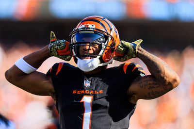 Nov 3, 2024; Cincinnati, Ohio, USA; Cincinnati Bengals wide receiver Ja'Marr Chase (1) reacts after a play against the Las Vegas Raiders in the first half at Paycor Stadium. Mandatory Credit: Katie Stratman-Imagn Images