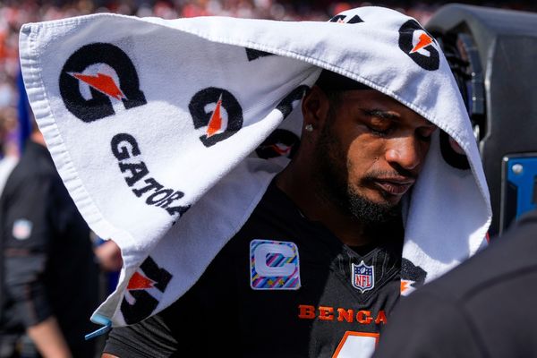 USA TODAY Sports