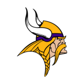 Vikings DST